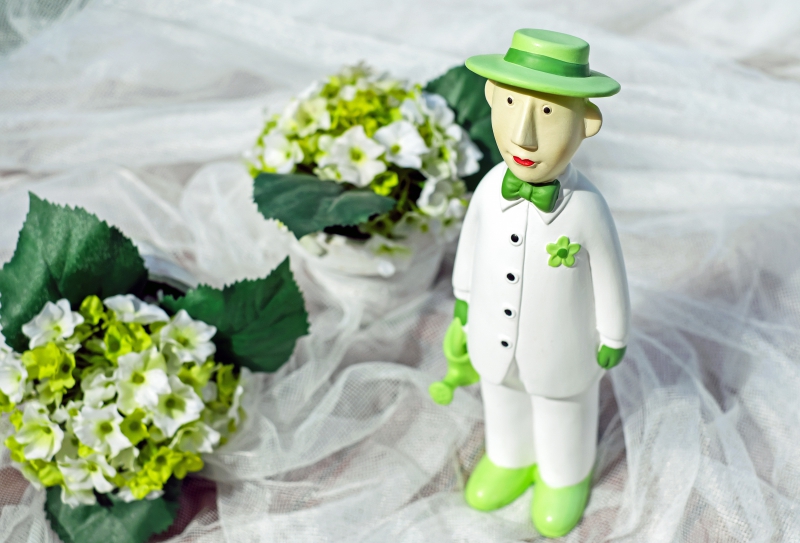 vente-BRIGNOLES-min_man-person-flower-green-toy-fig-546529-pxhere.com